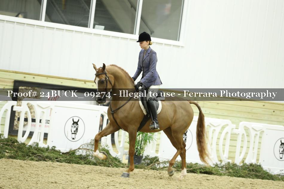 Proof 24BUCK_09274