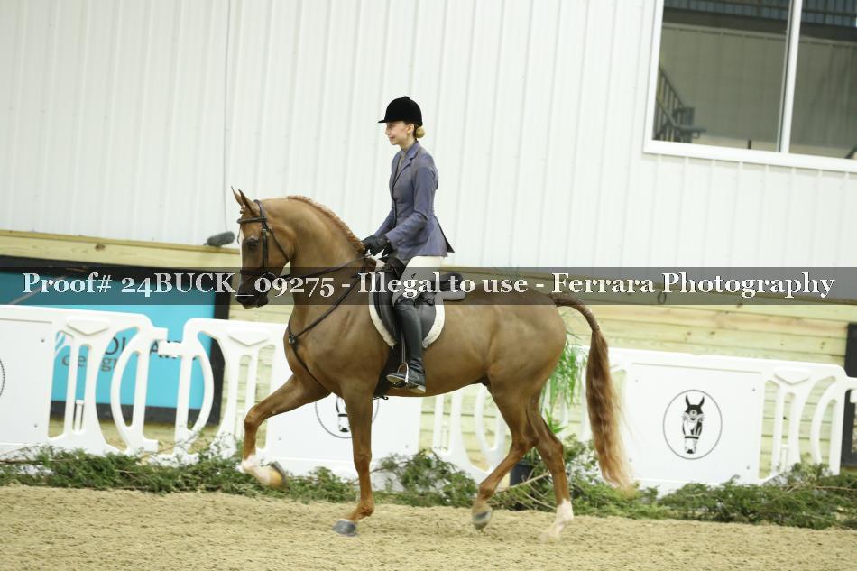 Proof 24BUCK_09275