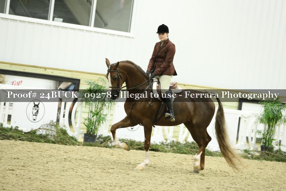 Proof 24BUCK_09278