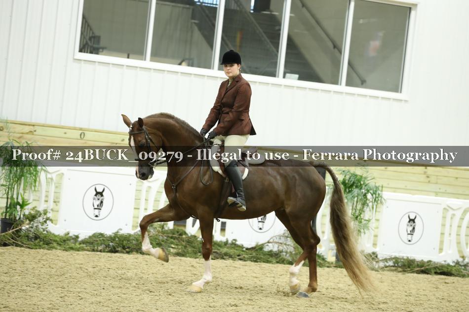 Proof 24BUCK_09279