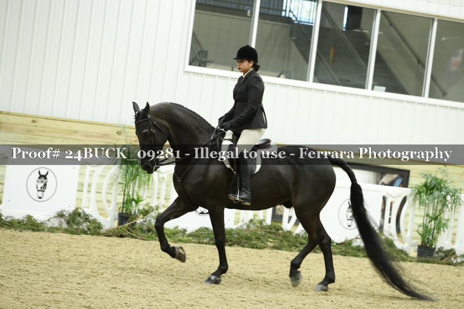 Proof 24BUCK_09281