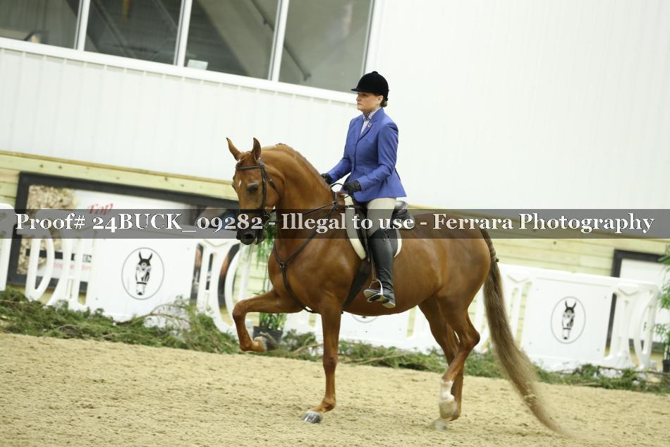 Proof 24BUCK_09282