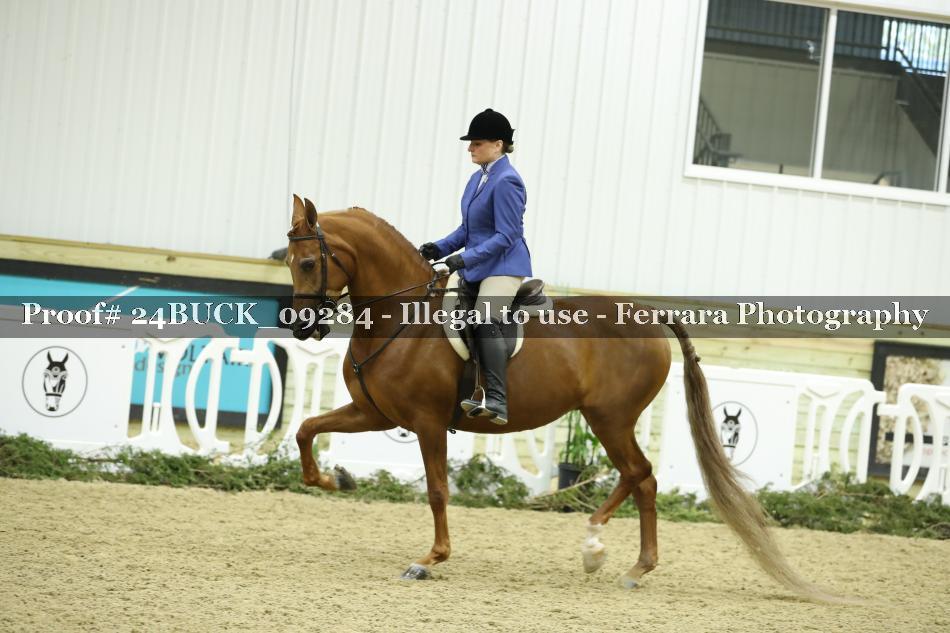 Proof 24BUCK_09284