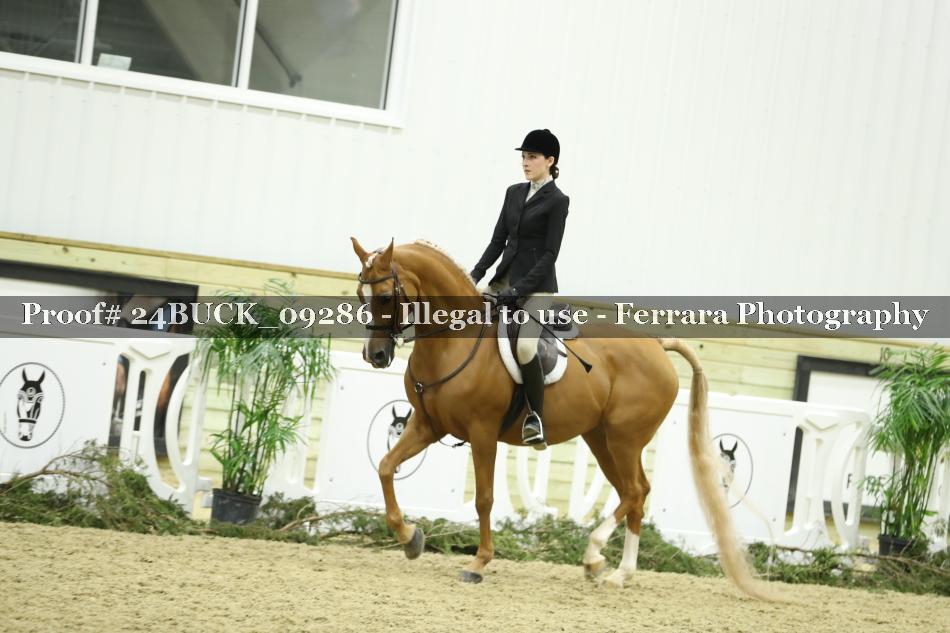 Proof 24BUCK_09286