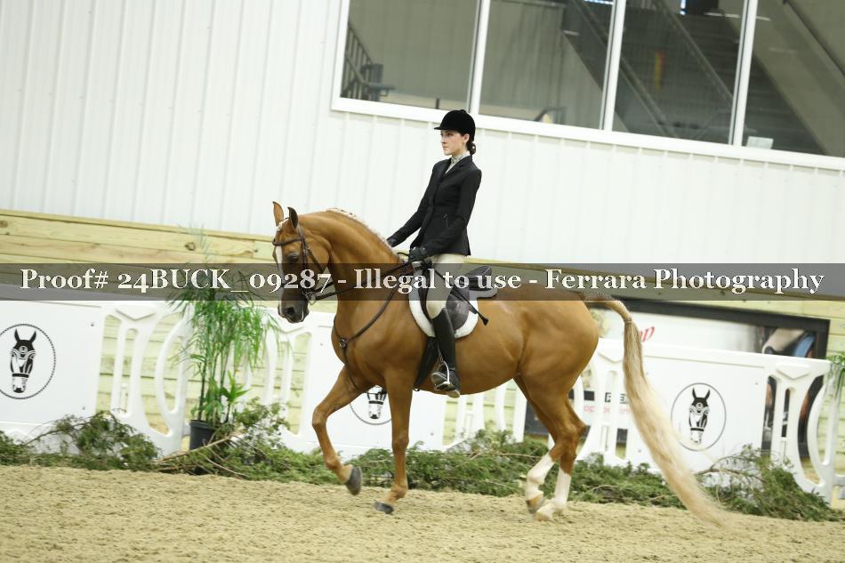 Proof 24BUCK_09287