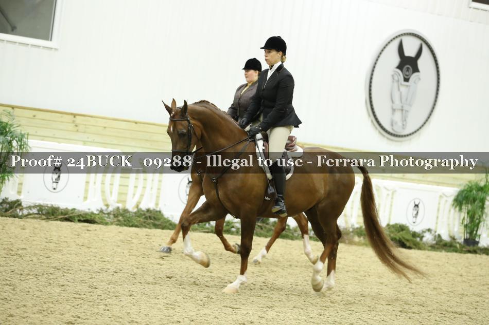 Proof 24BUCK_09288