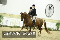 24BUCK_09288 proof