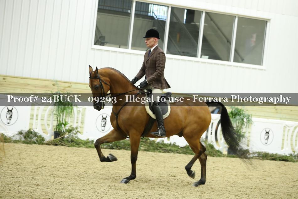 Proof 24BUCK_09293