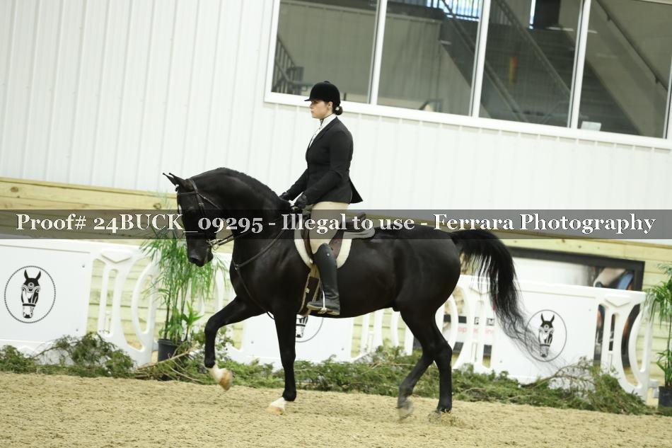 Proof 24BUCK_09295