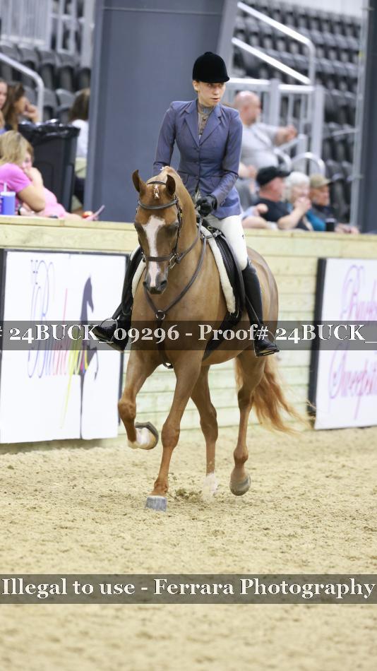 Proof 24BUCK_09296
