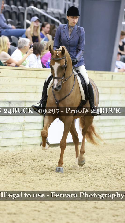 Proof 24BUCK_09297