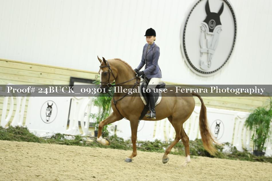Proof 24BUCK_09301