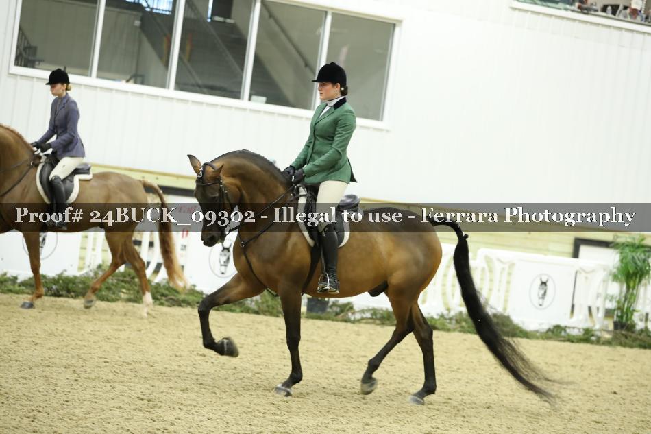 Proof 24BUCK_09302