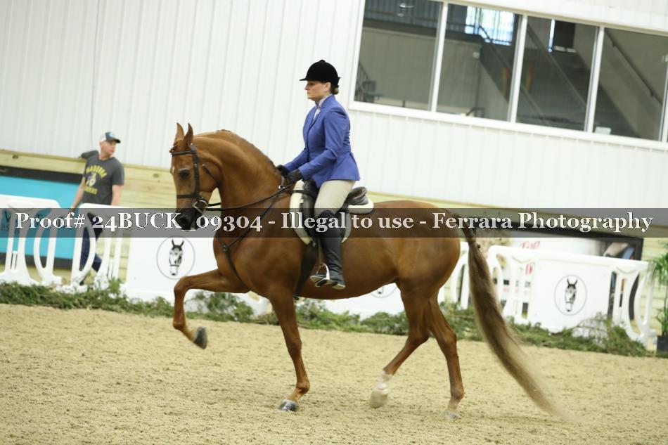 Proof 24BUCK_09304