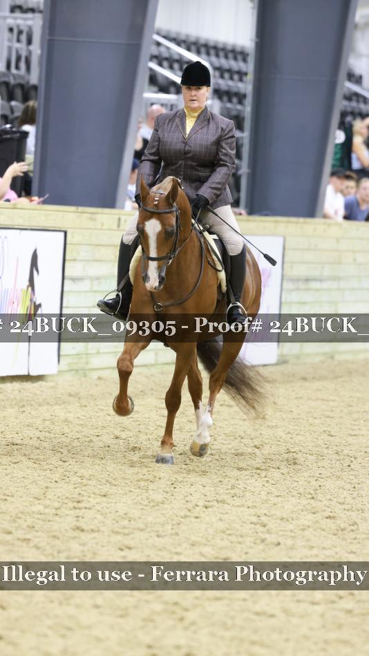 Proof 24BUCK_09305
