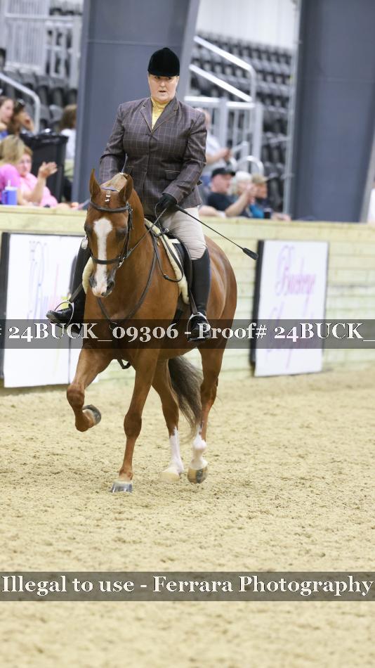 Proof 24BUCK_09306