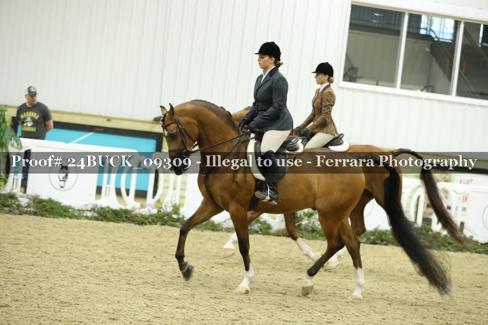 Proof 24BUCK_09309