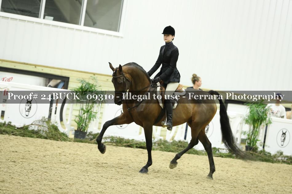 Proof 24BUCK_09310