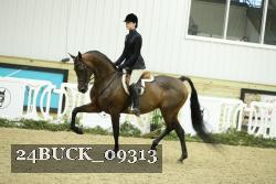 24BUCK_09313 proof