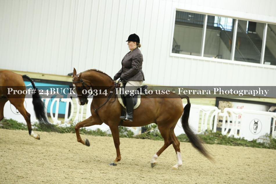 Proof 24BUCK_09314