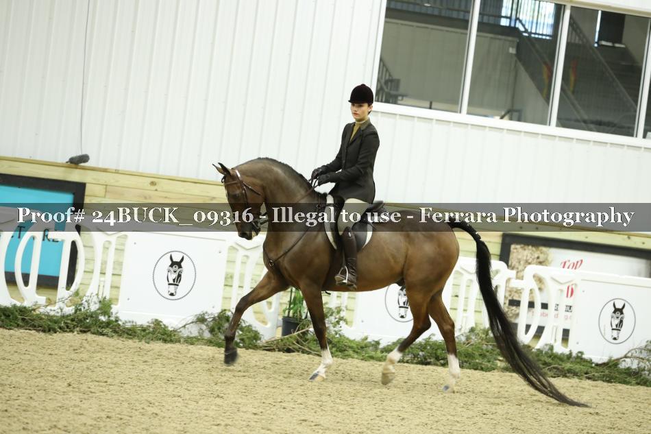 Proof 24BUCK_09316