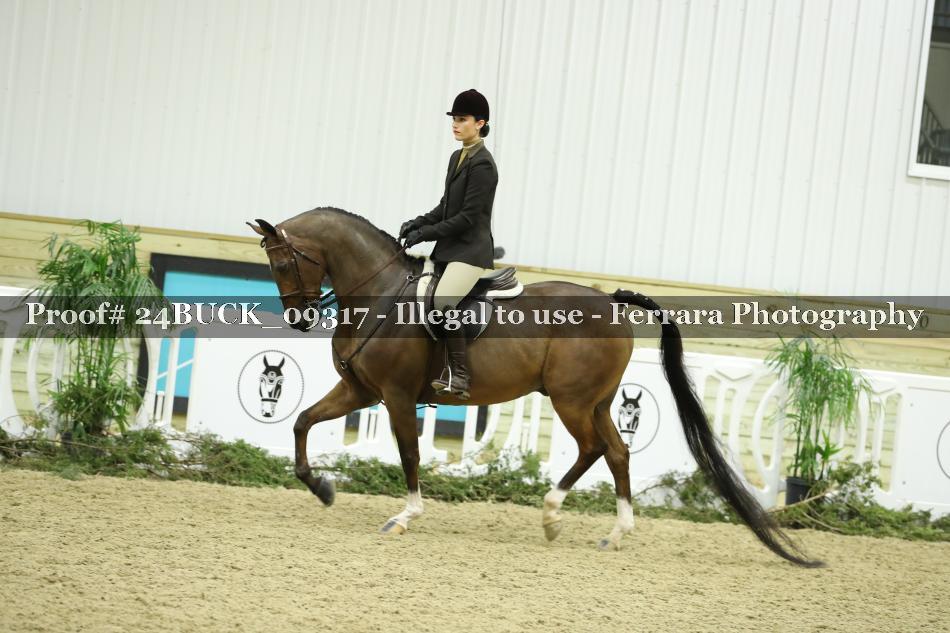 Proof 24BUCK_09317