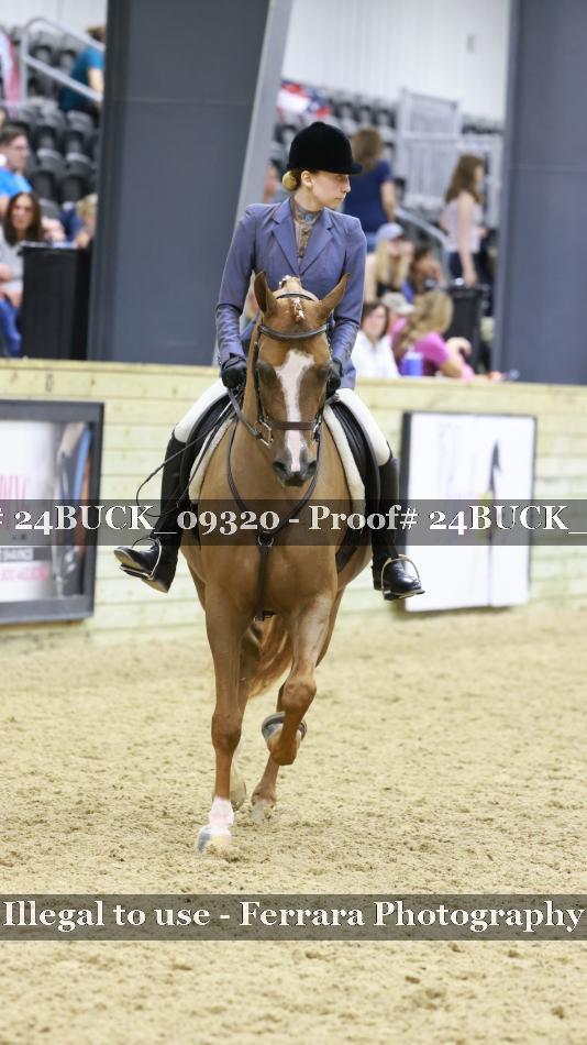 Proof 24BUCK_09320
