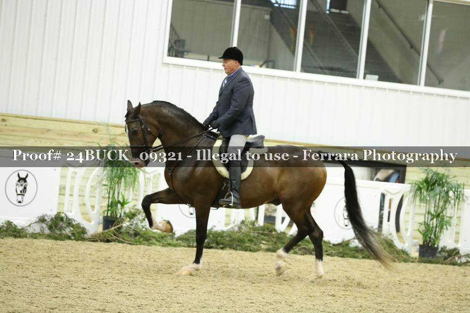 Proof 24BUCK_09321