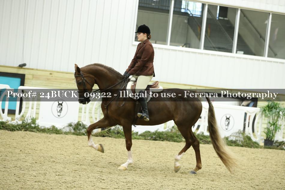 Proof 24BUCK_09322