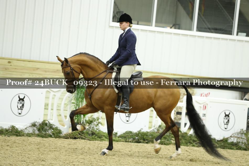 Proof 24BUCK_09323