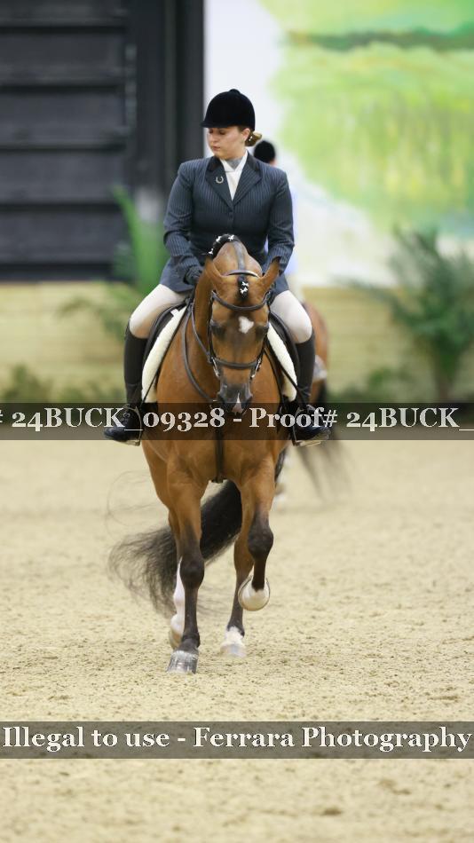 Proof 24BUCK_09328