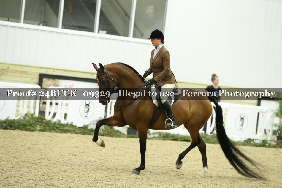 Proof 24BUCK_09329