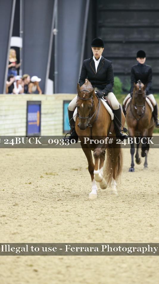 Proof 24BUCK_09330