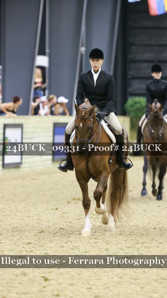 Proof 24BUCK_09331