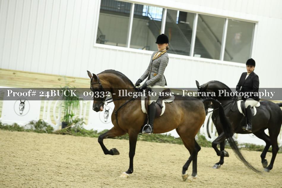 Proof 24BUCK_09332