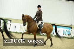 24BUCK_09333 proof