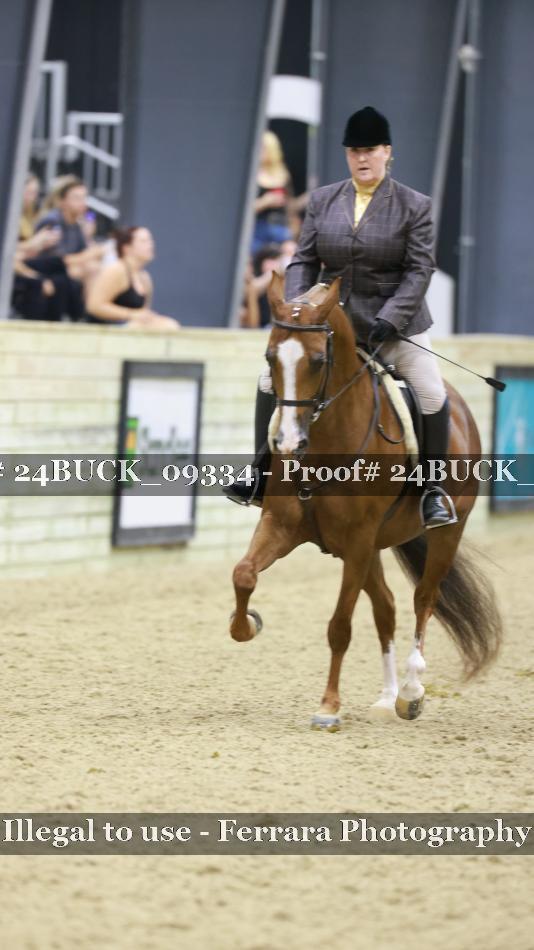 Proof 24BUCK_09334