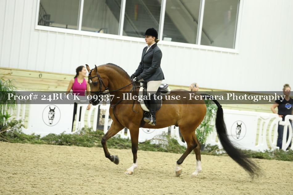 Proof 24BUCK_09337