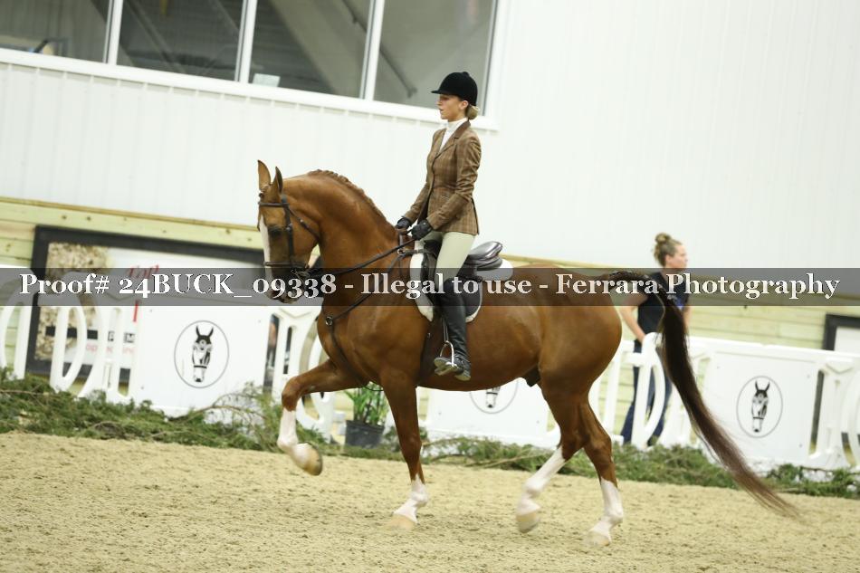 Proof 24BUCK_09338