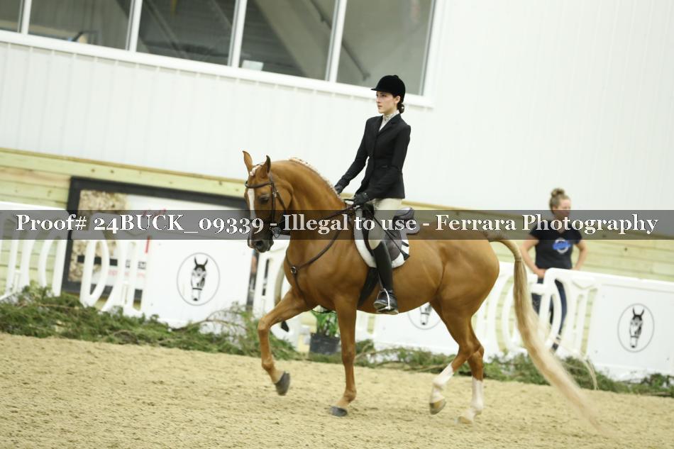 Proof 24BUCK_09339