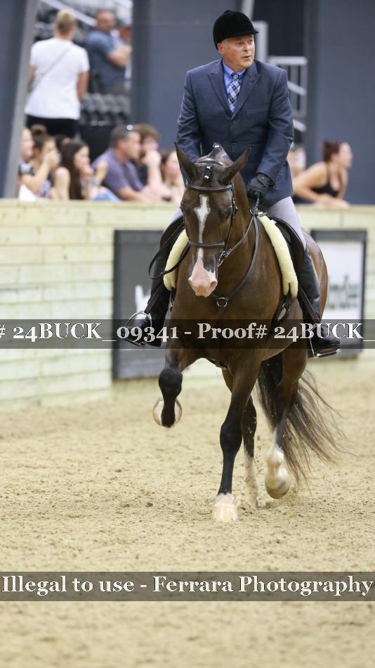 Proof 24BUCK_09341