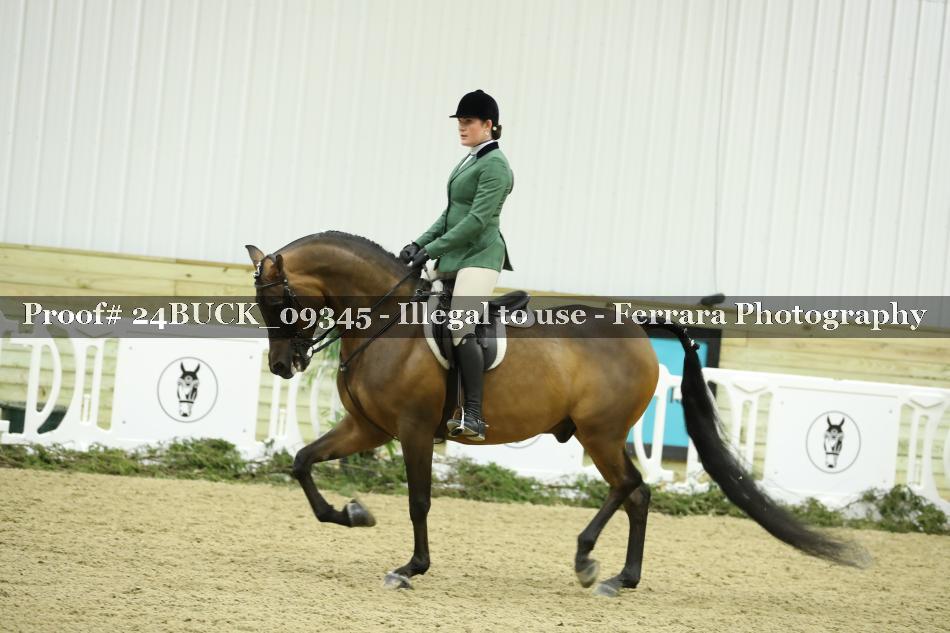 Proof 24BUCK_09345