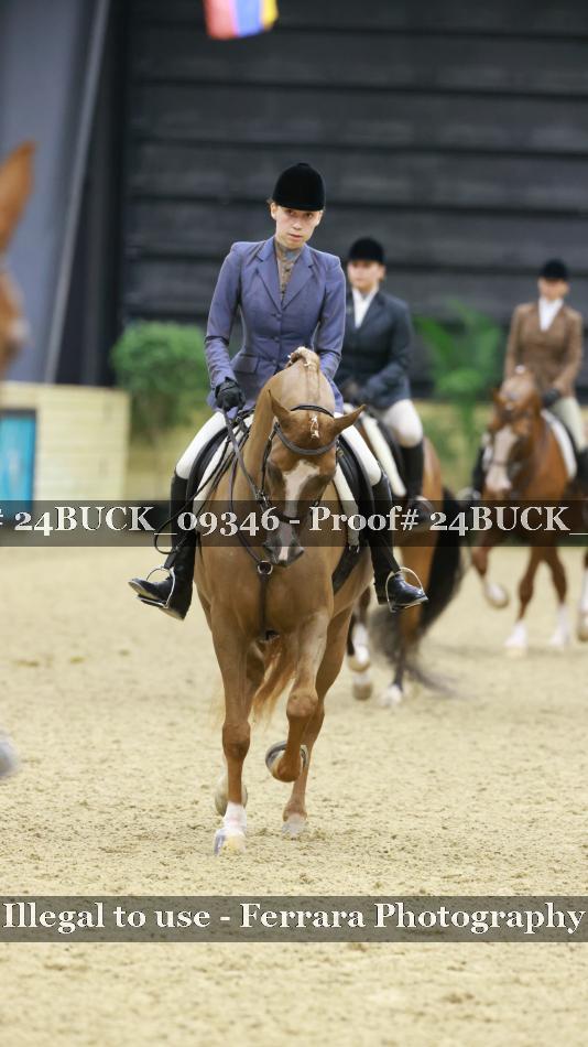 Proof 24BUCK_09346