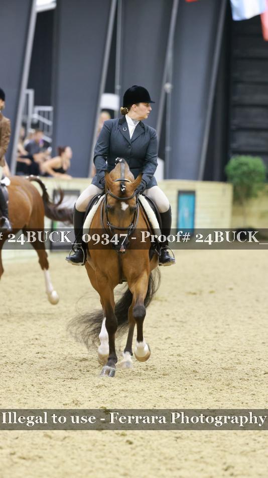 Proof 24BUCK_09347