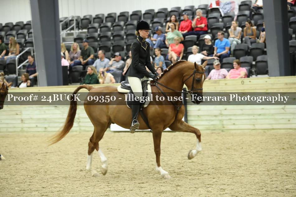 Proof 24BUCK_09350