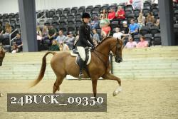 24BUCK_09350 proof