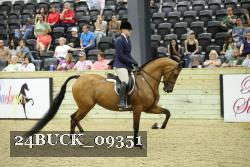 24BUCK_09351 proof