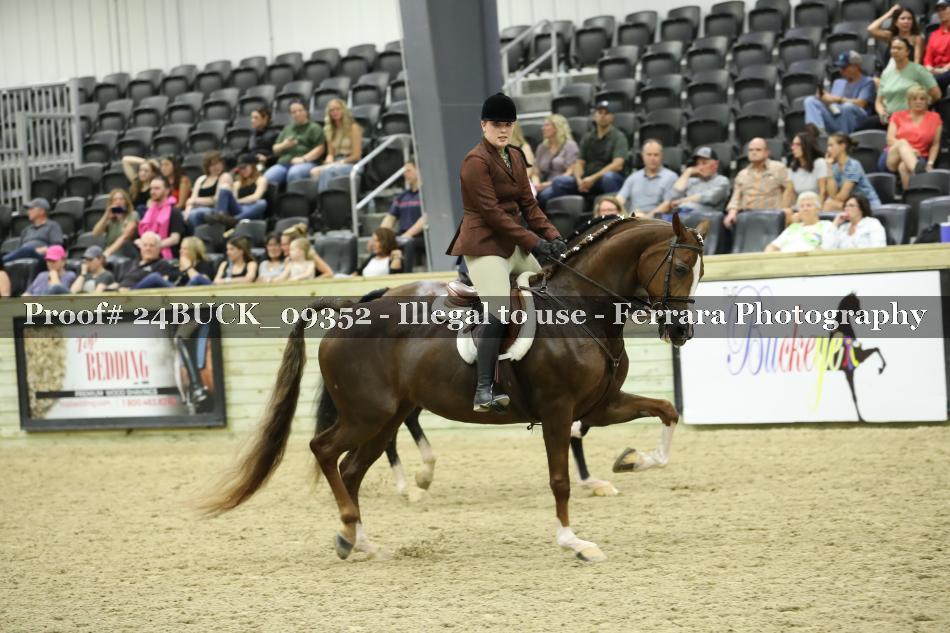 Proof 24BUCK_09352