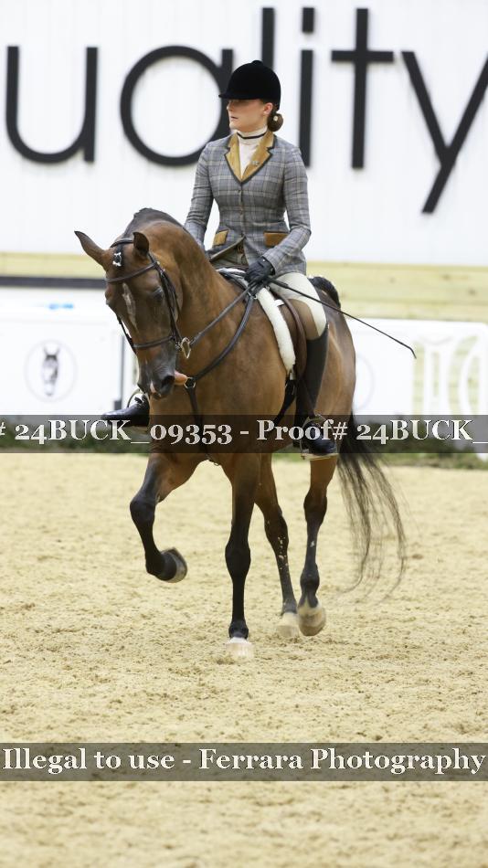Proof 24BUCK_09353