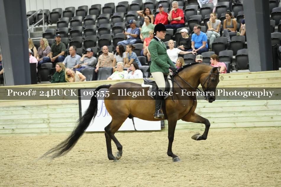 Proof 24BUCK_09355